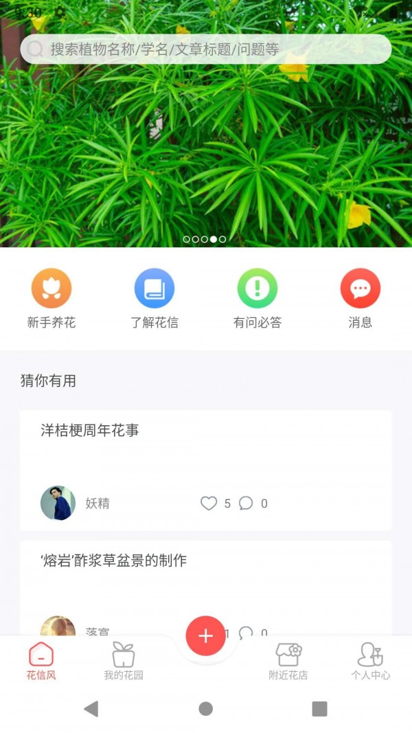 花信官方版截屏3