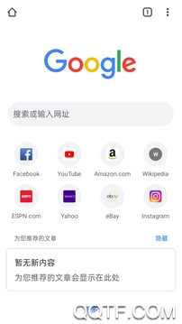 Chrome谷歌浏览器手机版截屏1