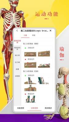 3dbody解剖学官方版截屏3