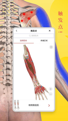 3dbody解剖学官方版截屏2